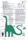 Karty Dinosauři – Stíny, jídlo, lokalita, charakteristika + info listy