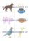 Puzzle barevné: Co jí zvířátka? 8 stran v PDF